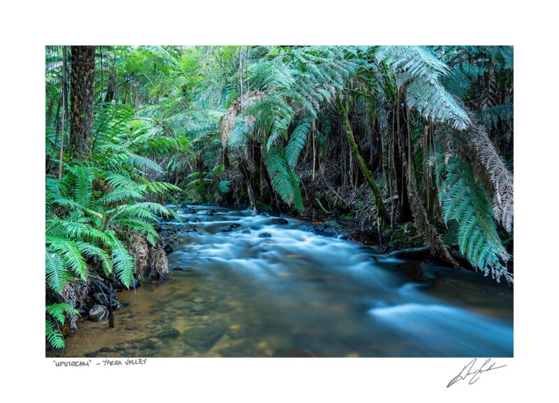 Buy Upstream Photography Australia | Find nature photography art print