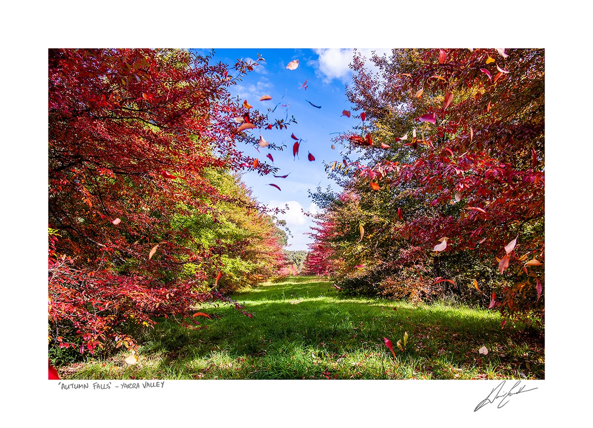 Buy framed autumn falls photography art print in Australia | David Eastham