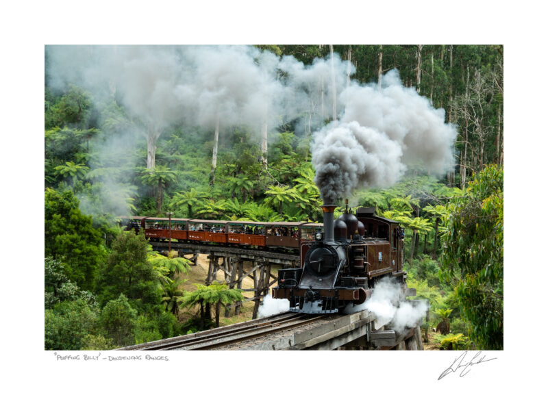 Buy Puffing Billy Photography Art Print In Australia by David Eastham