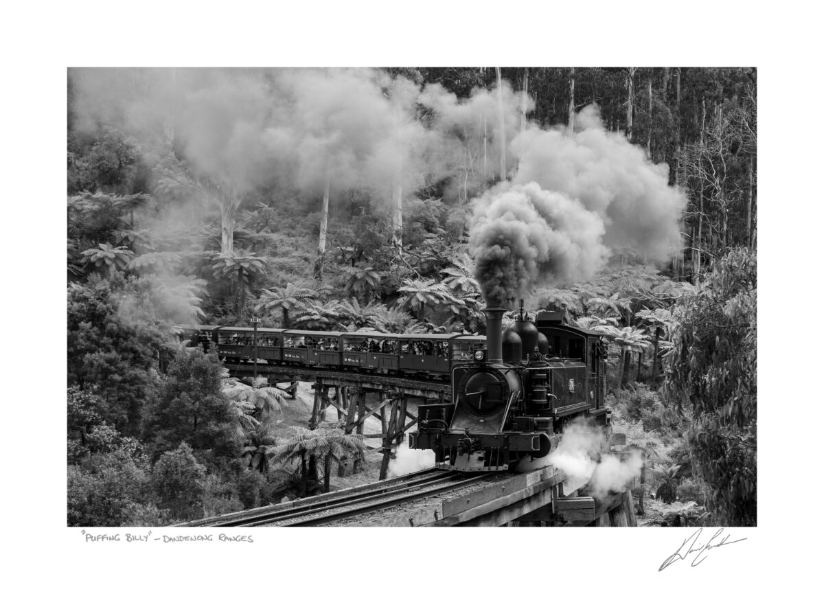 Buy Black & White Puffing Billy Photography In Australia by David Eastham